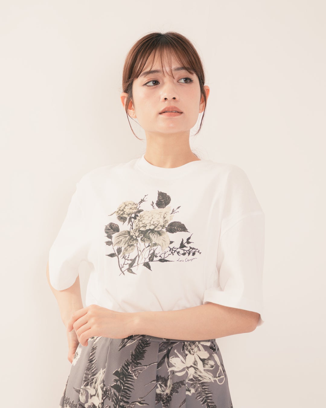 Lois CRAYON | CRAYON ONLINE STORE